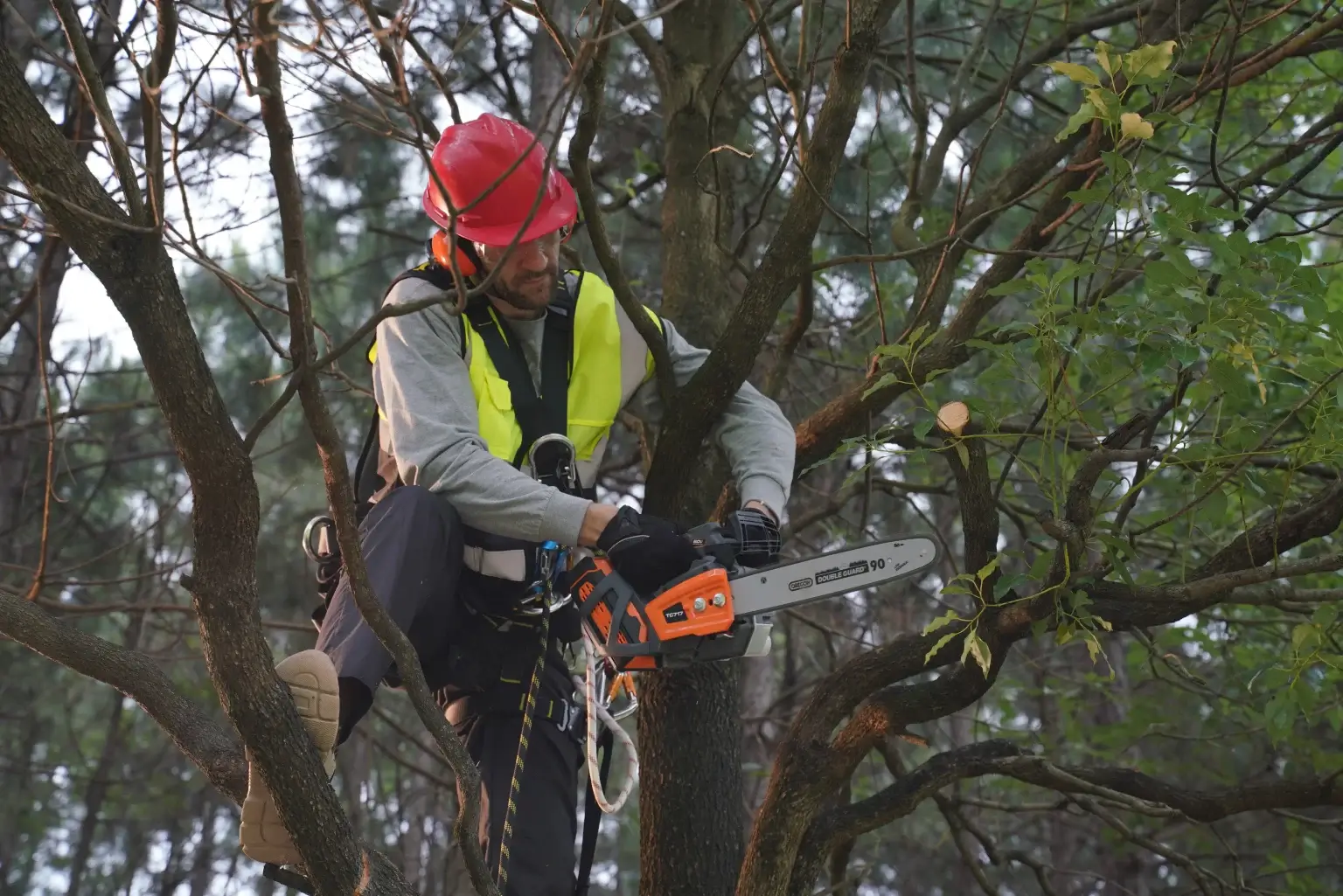 Tronçonneuse Sunseeker Elite